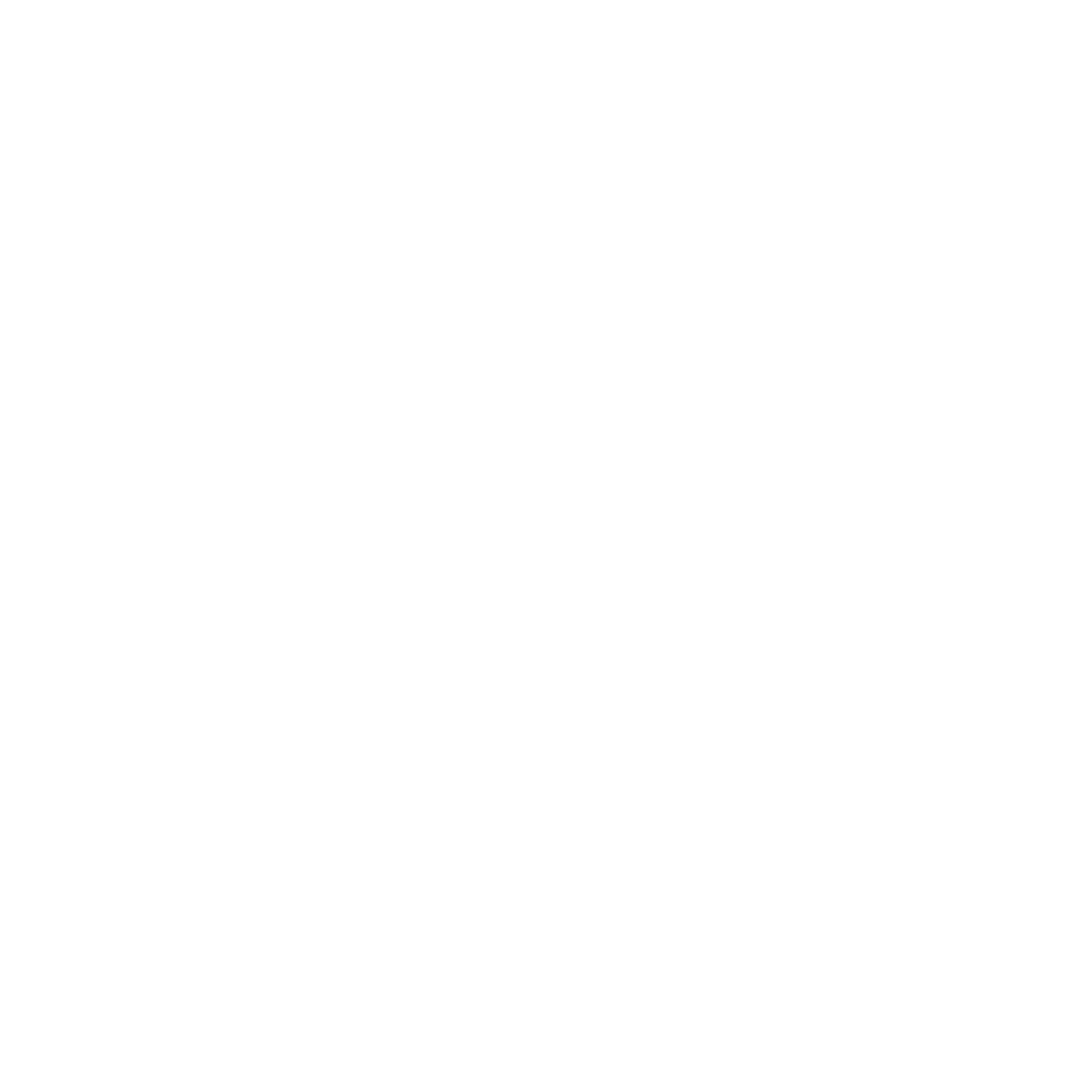 Cynthia Zorg